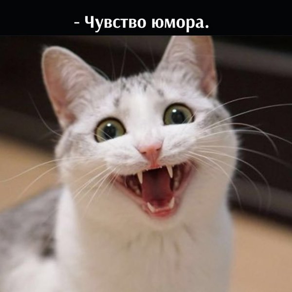       - 28  2025  10:44 - 2