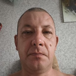 �������, ���������, 40 ���