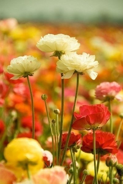    - 26  2025  16:01 - 3