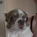 ���� ��������, ������, 22 ���� - ��������� 4 ������� 2025 � ������ ������ ��������