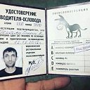 ���� ��, ����, 38 ��� - ��������� 8 ����� 2024 � ������ ���� ����������