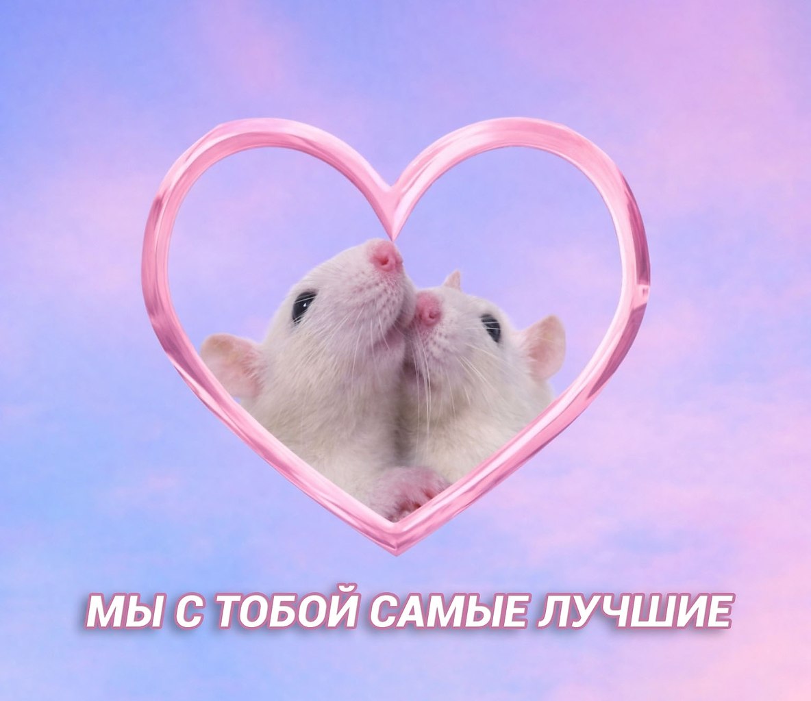 ��������� ������������: