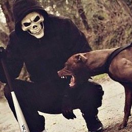 Angel007, �����������