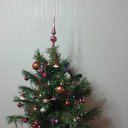 ���� �����, ������, 65 ��� - ��������� 29 ������� 2025 � ������ ������ ��������