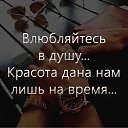 ���� �����, �����������, 53 ���� - ��������� 1 ������ 2024 � ������ ���� ����������
