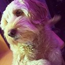 ���� �����, �����, 51 ��� - ��������� 27 ������ 2025 � ������ ������ ��������