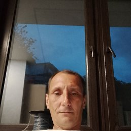 ���� ���������, ����, 47 ��� - ��������� 14 �������� 2026