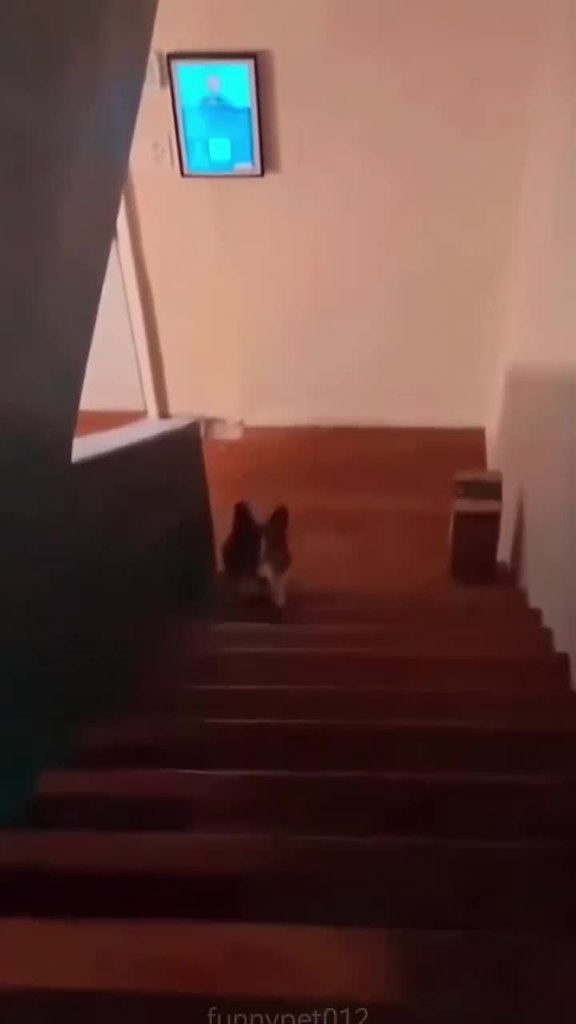 �� ����� ������ ������ ��� �������� - 2