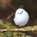 ���� ������ **, �����, 54 ���� - ��������� 9 ������� 2024 � ������ ������ ��������