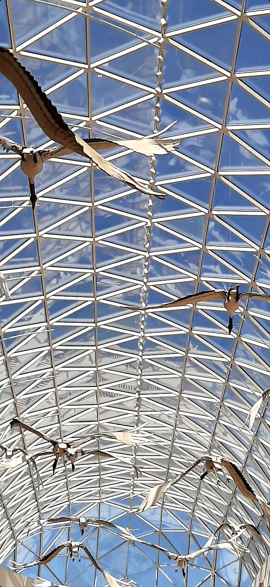 ..и полетели в сладкой прохладе в новый счастливый день! :-; - 2