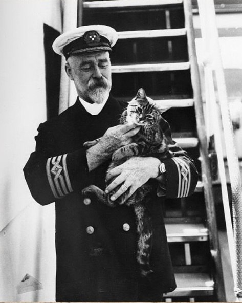 Оскар. Он же Непотопляемый Сэм.До наших дней дошла история кота Оскара. Изначально он жил на ...