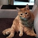 ���� ����, ������ - ��������� 20 ������ 2026 � ������ ������ ��������