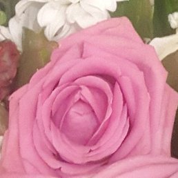 *Abrakadabra*, �������, 40 ���