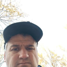 , 37, 
