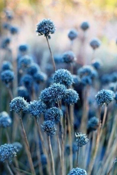 ����� ������� � �������, �� ��� ������������ ��� ����. - 3