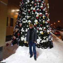 ����, �����, 61 ���