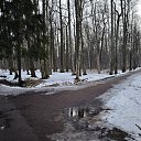 ���� ��������, �����-���������, 52 ���� - ��������� 13 ����� 2026 � ������ �������