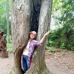 ����, �����, 64 ����