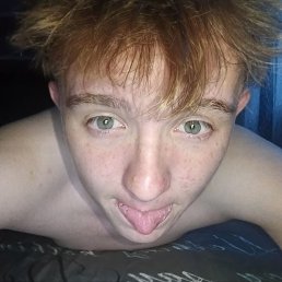 , 43,  