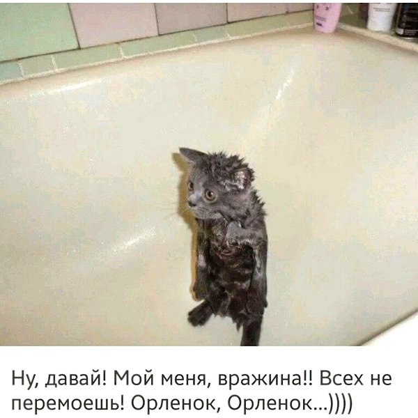 :)))))))))))))))))))))))))