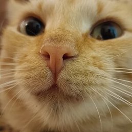 �����, ������, 25 ���