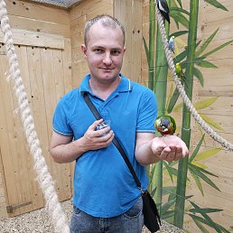 ���� �������, ��������, 32 ���� - ��������� 24 ������ 2026