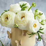 ������, 42 ����, ������