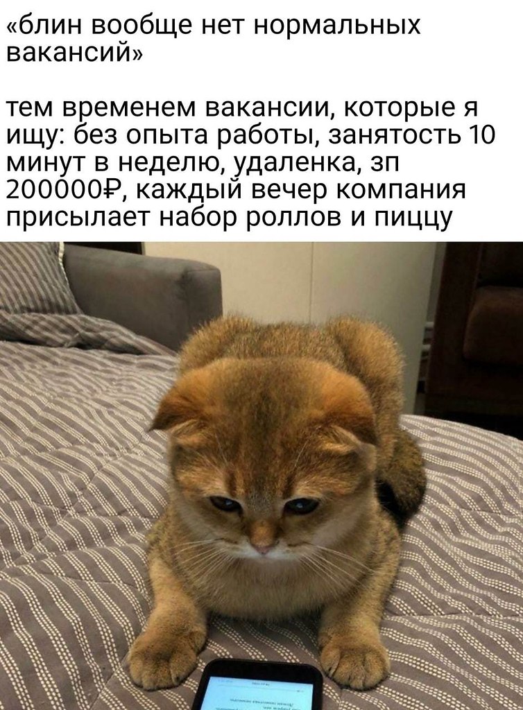     .      ,     ...