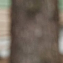 ������, ����, 34 ����