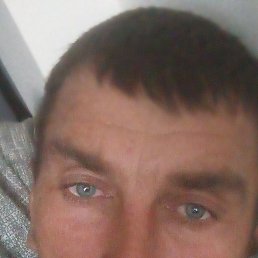 , 41, 