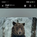 ���� �����, ������ - ��������� 3 ������� 2024 � ������ ������ ��������