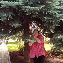 ���� ������, �������, 43 ���� - ��������� 4 ������ 2024