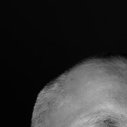 �����, 31 ���, ������