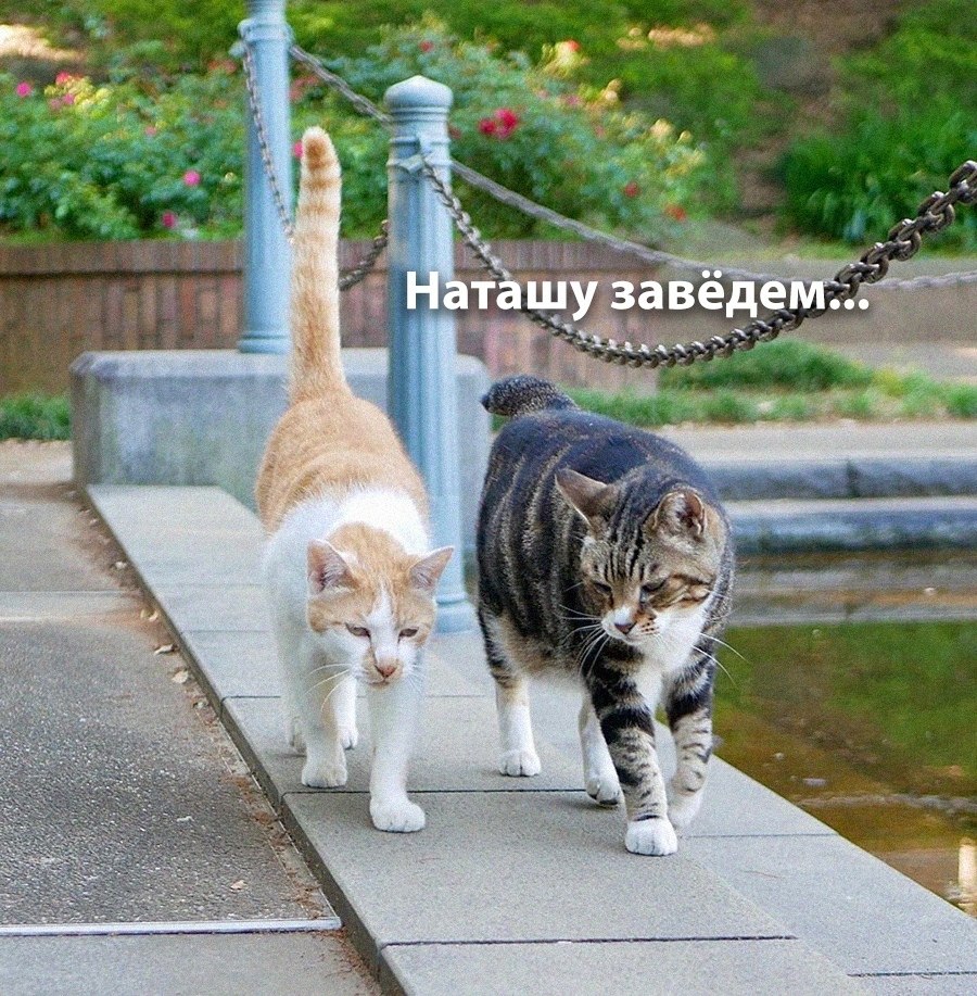 ��� �������� �������� - 4 ������� 2025 � 16:31 - 2