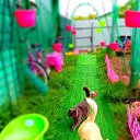  ,   -  3  2025    . -. 