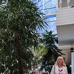 Elena, ������, 55 ���