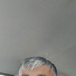 �����, 44 ����, ������