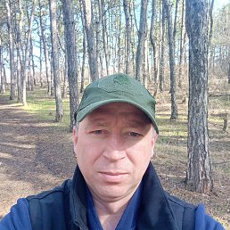 ���� ������, ������-��-����, 41 ��� - ��������� 7 ������ 2026