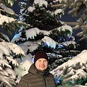 ���� �������� ����, ������, 38 ��� - ��������� 7 ������ 2026 � ������ ���� ����������