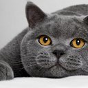 ���� Egor, ������, 18 ��� - ��������� 4 ����� 2025 � ������ ���� ����������