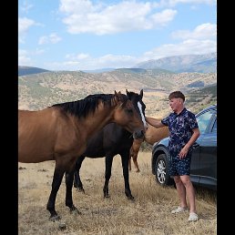 ���� ������, ������������, 48 ��� - ��������� 6 ������� 2026