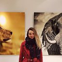 ���� �����, ���, 29 ��� - ��������� 3 ������ 2026 � ������ ���� ����������