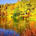 ���� ��������, ������ ��������, 42 ���� - ��������� 18 �������� 2025 � ������ �������