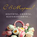 ���� �������, ������, 53 ���� - ��������� 8 ����� 2024 � ������ ������ ��������