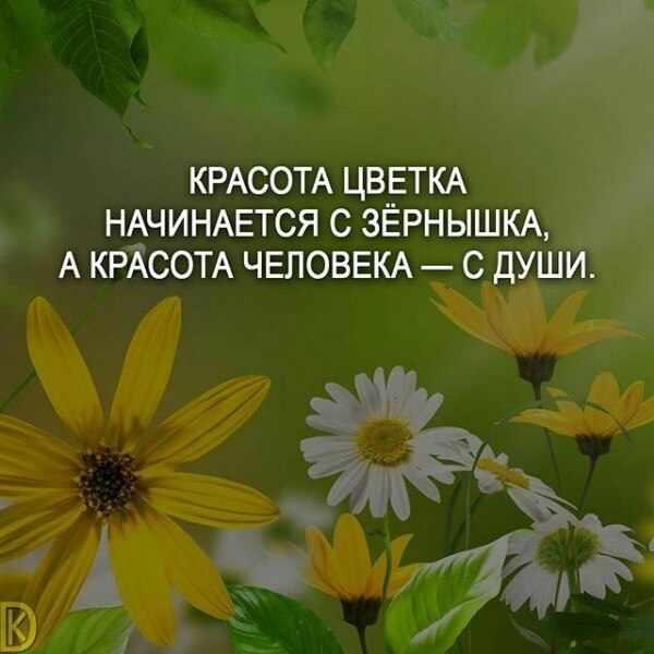 �������� - 11 ����� 2025 � 18:00