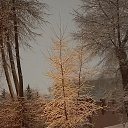���� ������� - �� ��������!, �������� - ��������� 18 ������� 2023 � ������ ������ ��������