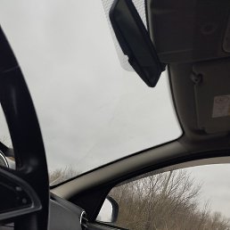 ����, ������������, 40 ���