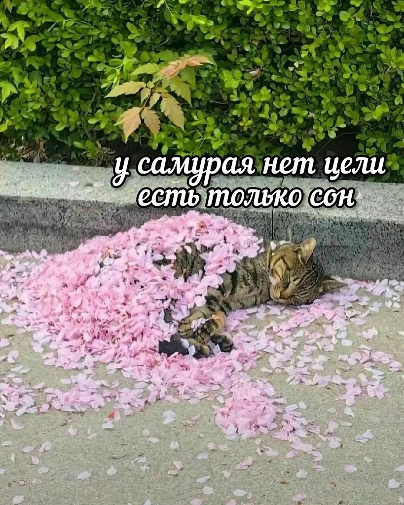 ��� ���� � ����� �� �� - 11 ���� 2026 � 06:55