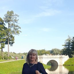 ����, �����-���������, 65 ���