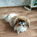 ���� �������, ������������, 56 ��� - ��������� 10 �������� 2024 � ������ ���� ����������